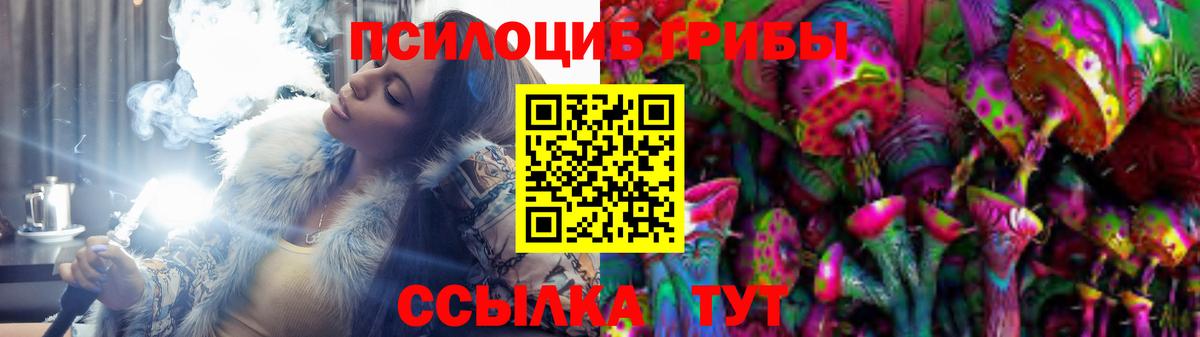 Городец  Псилоцибиновые грибы прущие грибы  Вход с VPN 